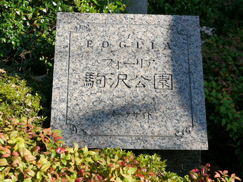 その他共用部　写真１
