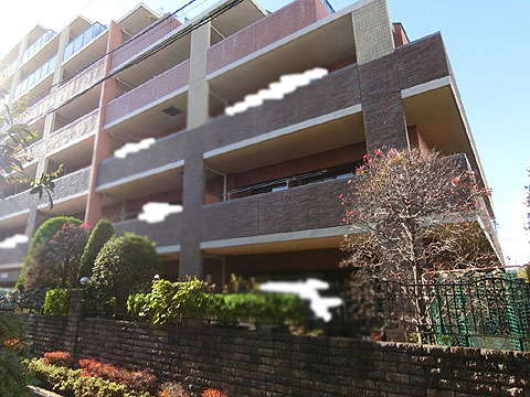 現地外観写真　外観5