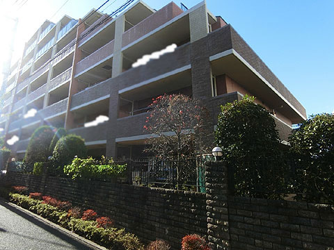 現地外観写真　外観7