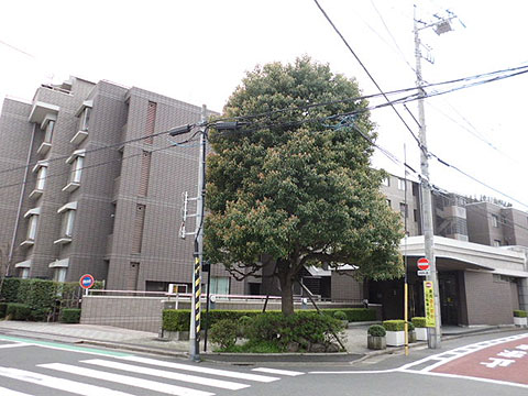 その他共用部　外観3