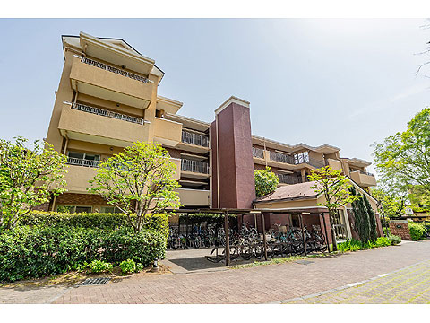 現地外観写真 外観A