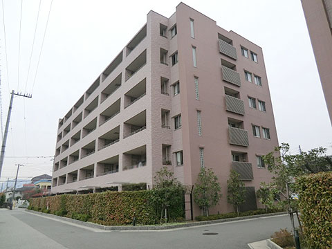 現地外観写真　南東側外観