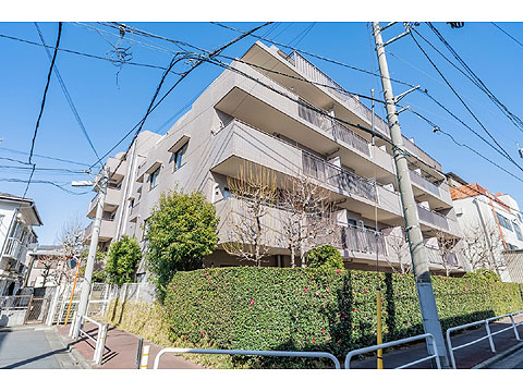 現地外観写真 外観