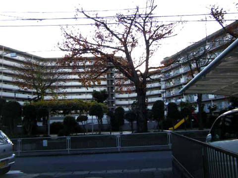 その他共用部　外観5
