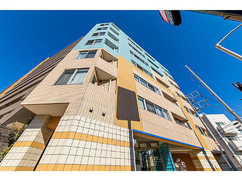 現地外観写真 外観