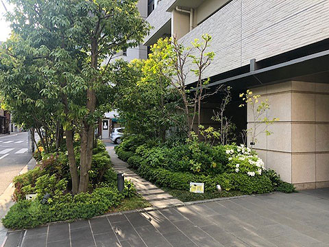 現地外観写真　植栽