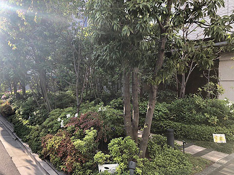 その他共用部　植栽2