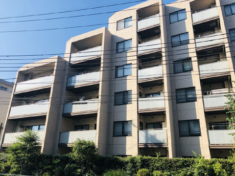 現地外観写真　南側外観です
