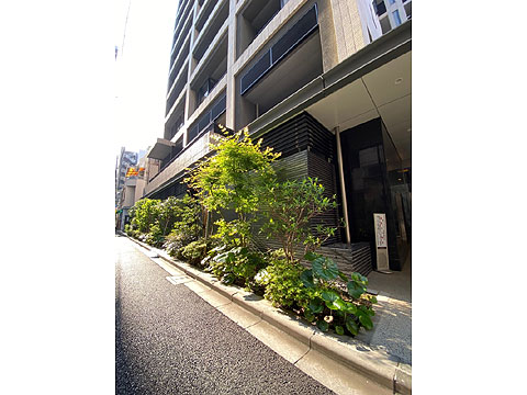 現地外観写真　植栽