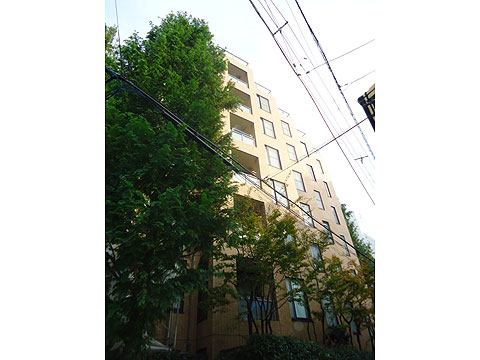 現地外観写真　外観