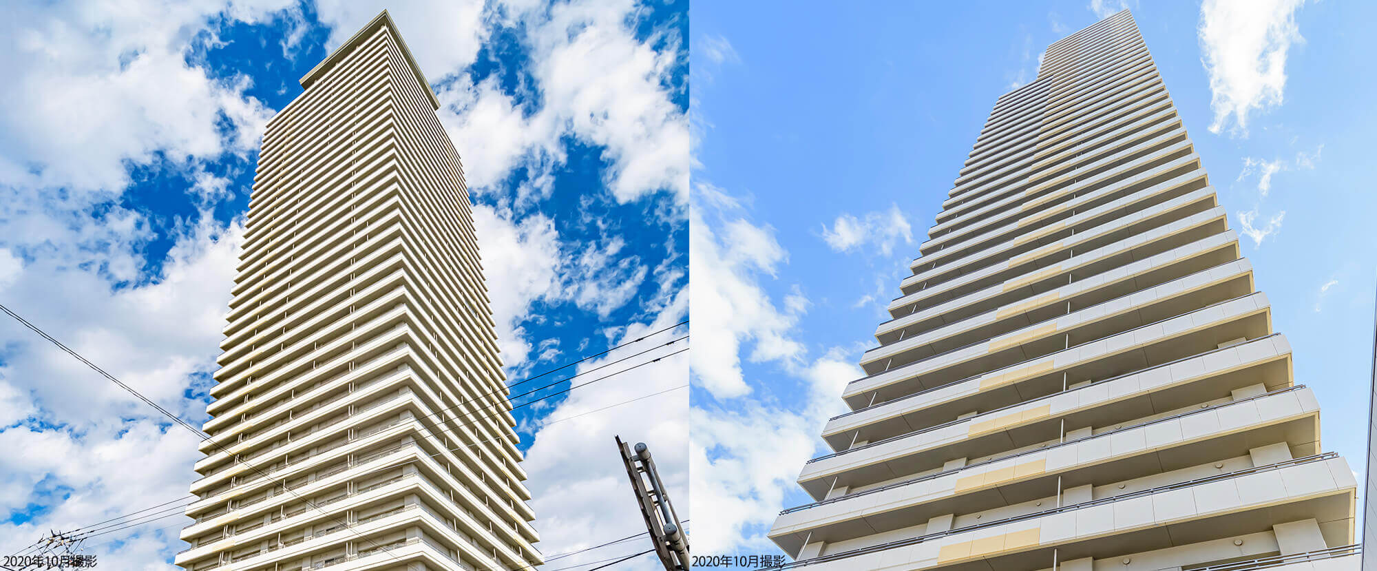 望子 kotohayokozawa】【CONVERSE】ROADCLASSIC SS OX (WOMEN'S