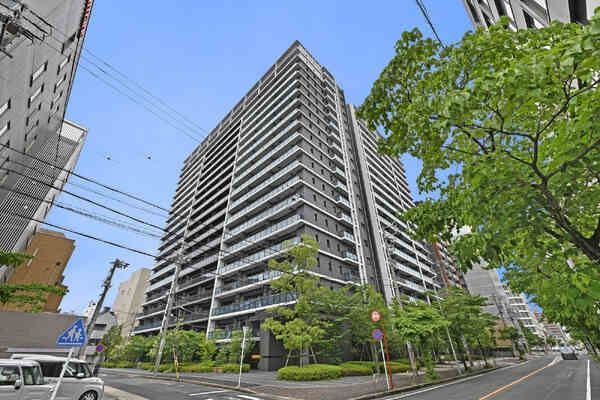 ホソマッチョ　愛知県限定手渡名古屋市市西区北区配送無料折りたたみ２０ Amazon | 近与(KONYO) 日本製 忍者熊手 PCグリップ 網付 33851