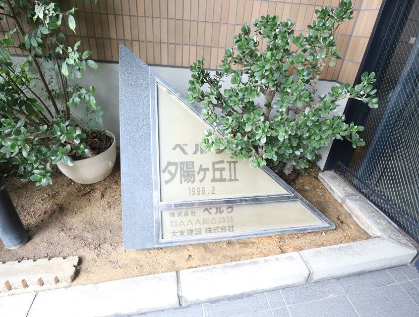 月ノ子の居る丘 81WPPz-5D9L._UF350,350_QL80_.jpg