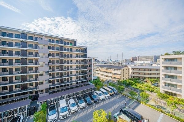 青黒COMPLEX構築済み40枚デッキ！！ただいま大幅値下げ中！！ COMPLEX ｜カードショップNEM